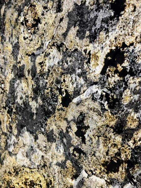 WhatsApp Image 2025 10 25 at 15.45.477 - Pełna obsługa inwestycji - wszystko pod jednym dachem! Czy warto jechać na targi Warsaw Build?